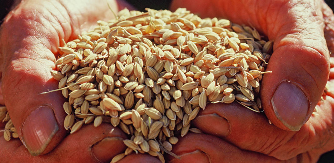 棚田サポーター募集