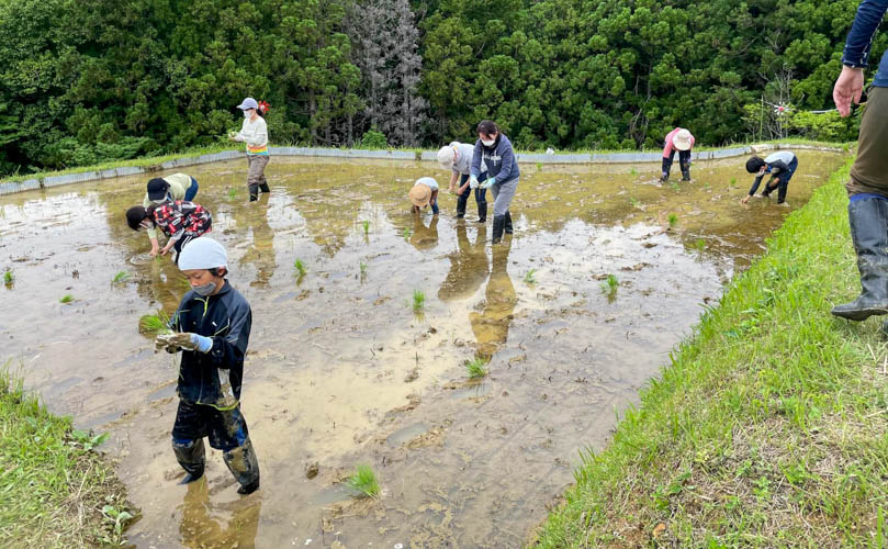 田植え体験会
