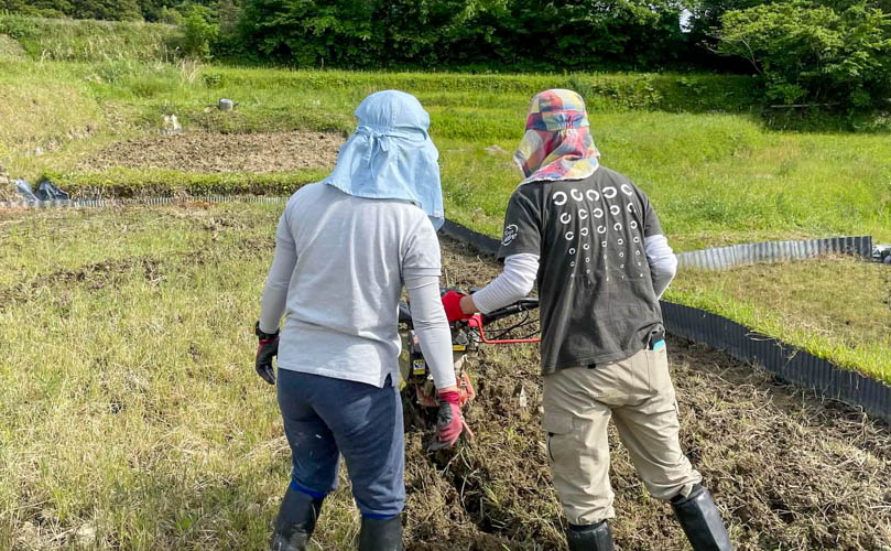 棚田塾～久留女木の棚田で米作り
