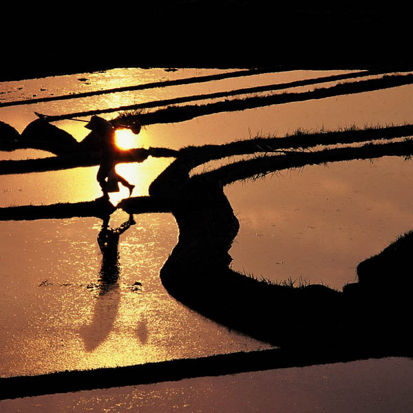 久留女木写真館